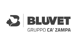Bluvet SpA